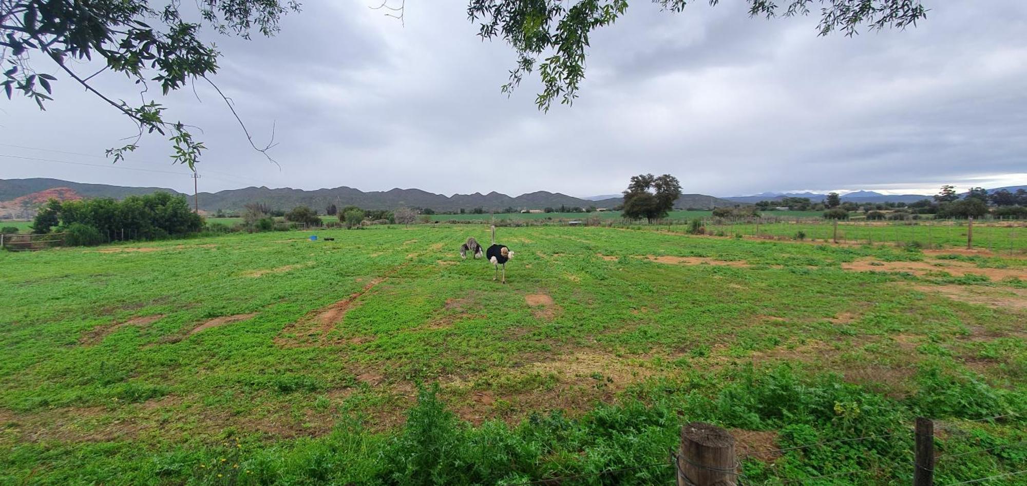 オーツホーン Karoo Leeu Self Cateringヴィラ エクステリア 写真